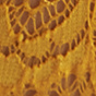 Agrumi