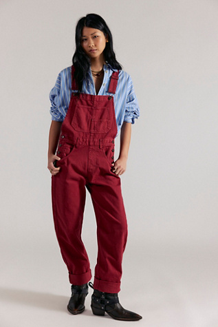 We The Free Ziggy Denim Overalls