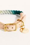 Found My Animal Cotton Rope Cat & Dog Collar
