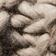 Gris rocheux