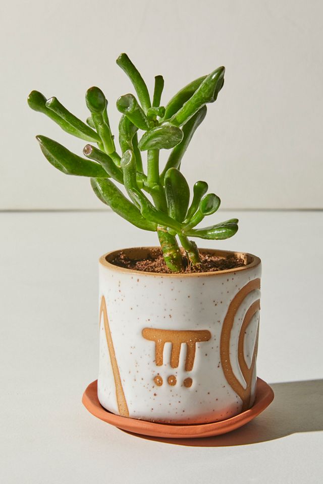 Curious Clay Desk Top Planter & Dish #2