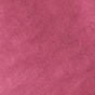 Dragonfruit