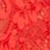 Blood Orange
