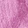 Beauty Berry