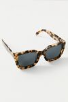 Alden Polarized Square Sunglasses
