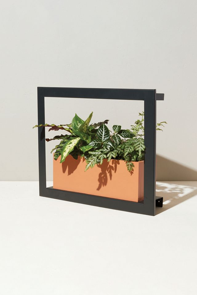 Smart Growframe | Free People UK