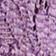 Zaadi Purple