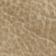 Mustard Seed