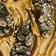 Pyrite