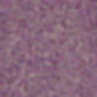 Cool Violet