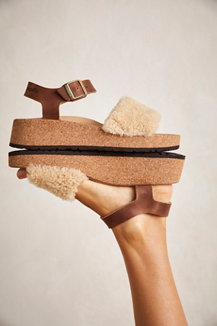 plush birkenstocks