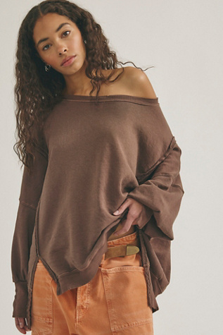 We The Free Camden Sweatshirt at Free People in Chocolate Love, Size: Medium