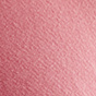 Camellia