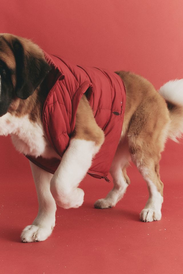 In A Bubble Puffer Vest