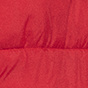 Winterberry