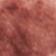 Ginger Snap