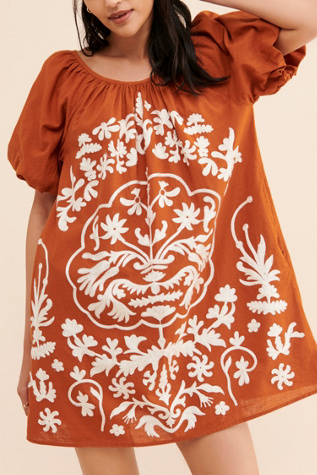 Fiona Embroidered Mini Dress