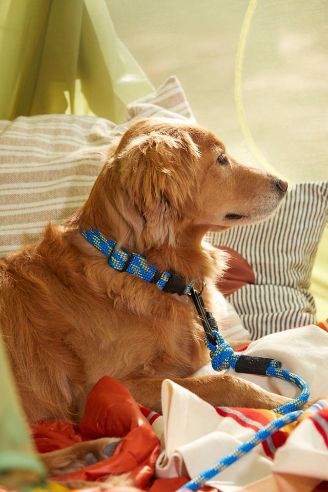 Wilderdog leash best sale