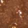 Medium Brown - neutral medium brown