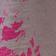Pressed Petal Hot Pink