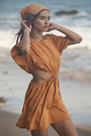 Dandelion Mini Dress | Free People