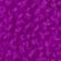 Vivid Violet