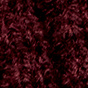 Elderberry