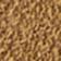 Light Caramel / Dark Brown
