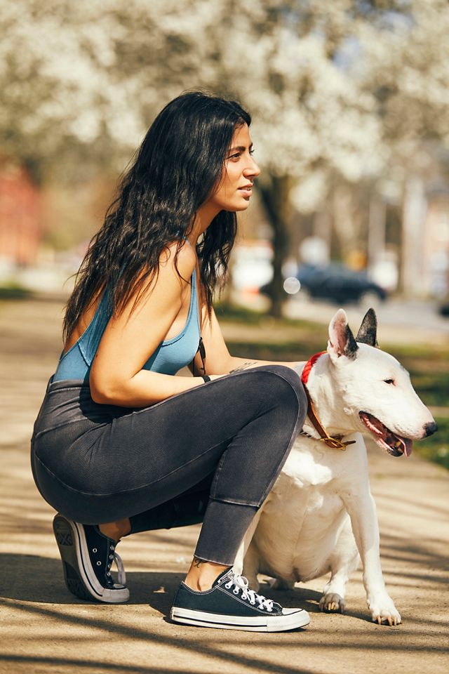 Free People Heather Knit Legging With Rib Scrunchy Ankle Detail, Pinnacle  Malibu