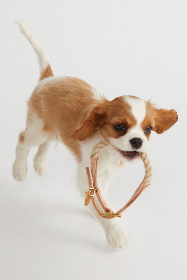 Collier de corde #2