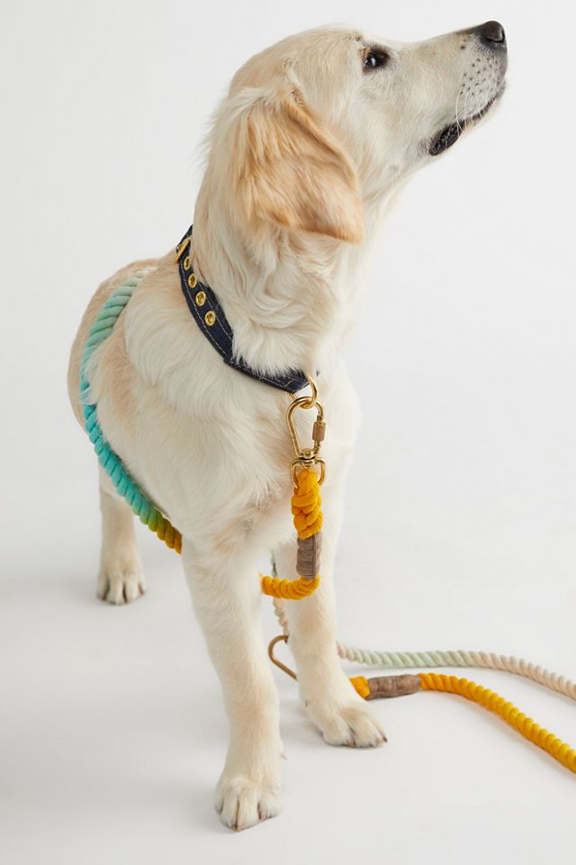 Noelle Adjustable Leash #1