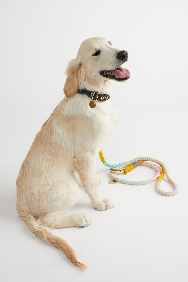 Noelle Adjustable Leash #2
