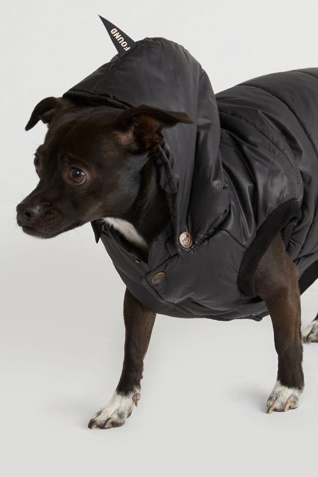 Doudoune pour chien #2