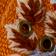 Orange Flowers
