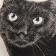 Black Cat Ornament