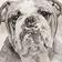 Bulldog Ornament