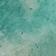 Amazonite