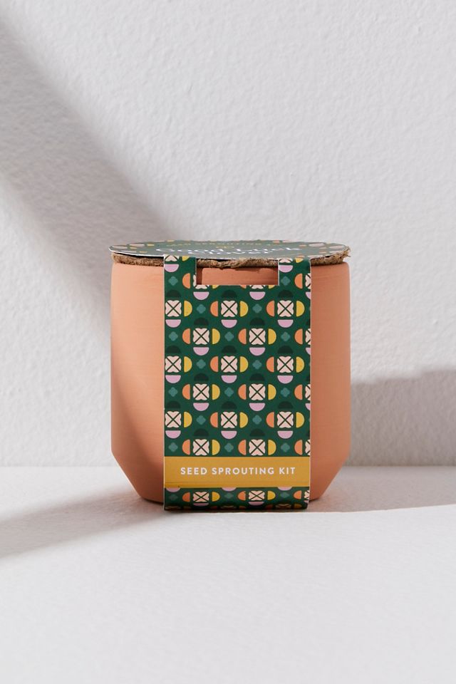 Modern Sprout Tiny Terracotta Kits
