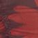 Hot Red Combo