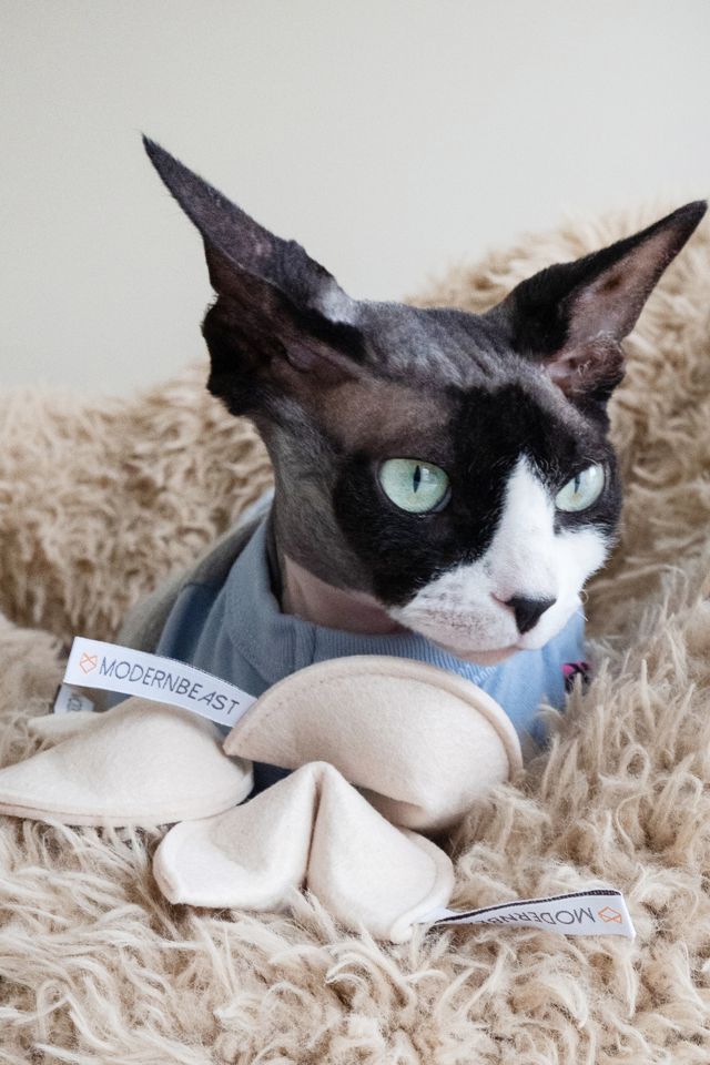 MODERNBEAST Fortune Cookie Catnip Toy #1