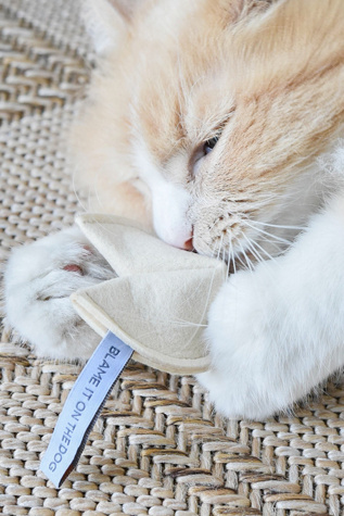 MODERNBEAST Kitty Fortune Cookie