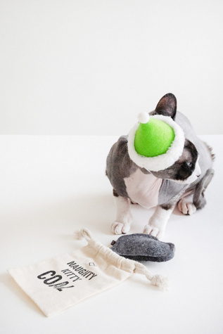 MODERNBEAST Naughty Kitty Coal