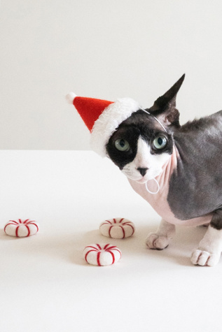 MODERNBEAST Kitty Peppermint Toy