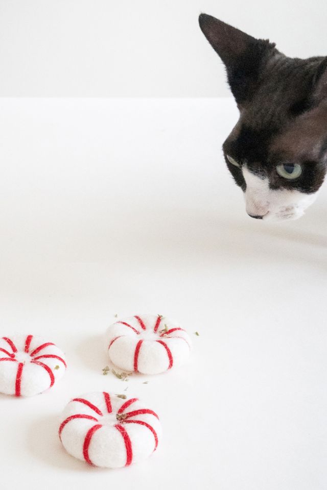 MODERNBEAST Kitty Peppermint Toy #2