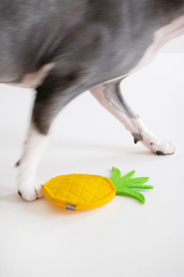 MODERNBEAST Pineapple Catnip Toy #2