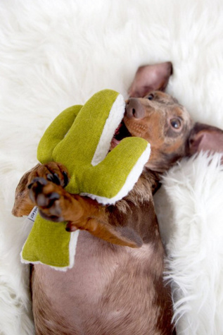 MODERNBEAST Mint Cactus Chew Toy at Free People in Green