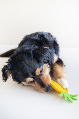 MODERNBEAST Puppy Pineapple Chew Toy