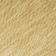Palm Leaf