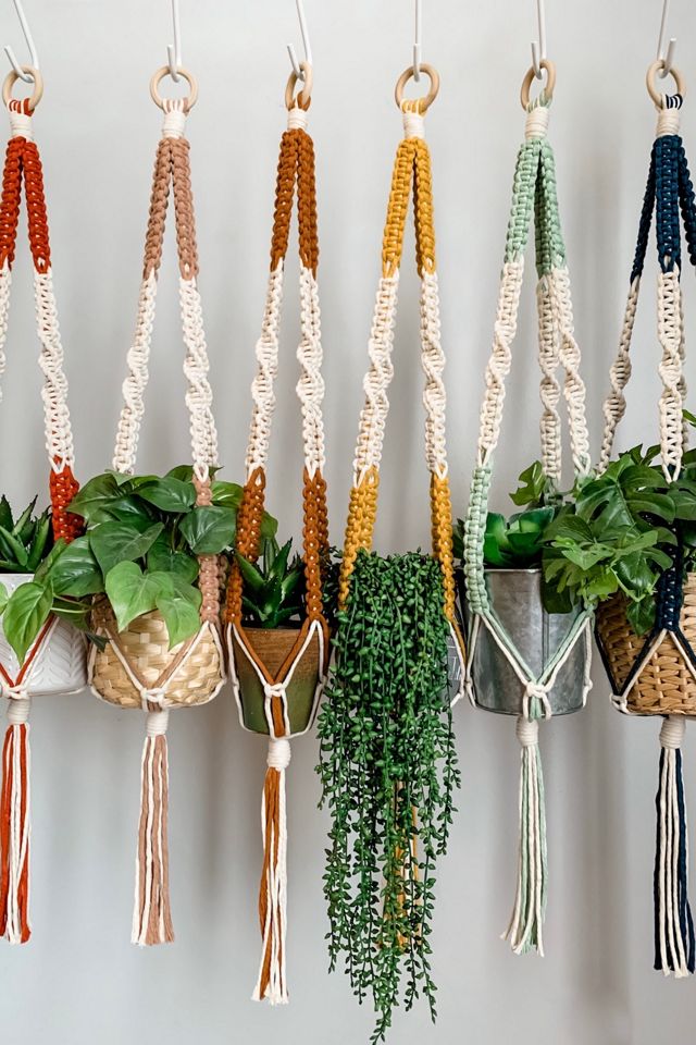 I Would Rather Knot Macrame Plant Hanger #3
