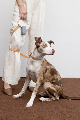 Boo Oh Lumi Leash